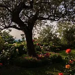 Il Casale Di Fiore شقة *
