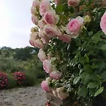 Il Casale Di Fiore Apartman Cannara