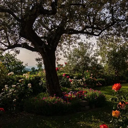 Il Casale Di Fiore Appartement *