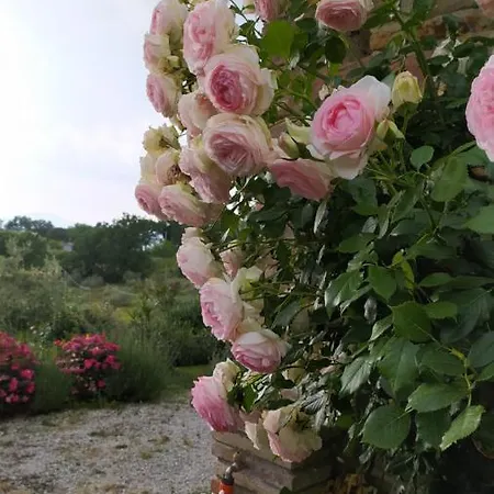 Il Casale Di Fiore Appartement Cannara