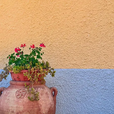 Il Casale Di Fiore *